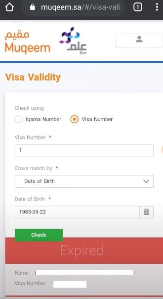 Visa validity service